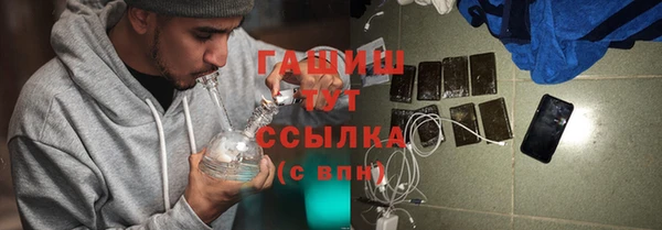 spice Бородино