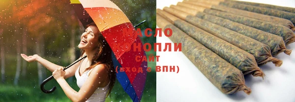 spice Бородино