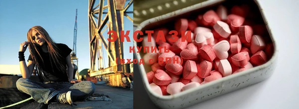 spice Бородино