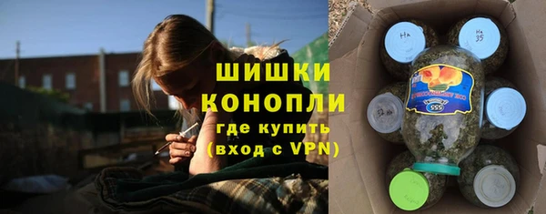 дурь Бронницы