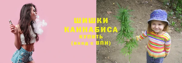 spice Бородино