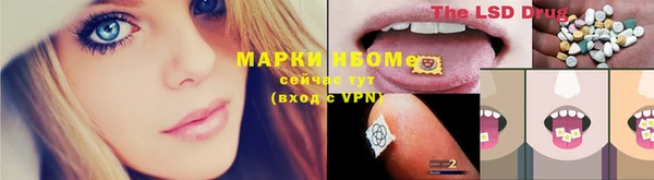 дурь Бронницы