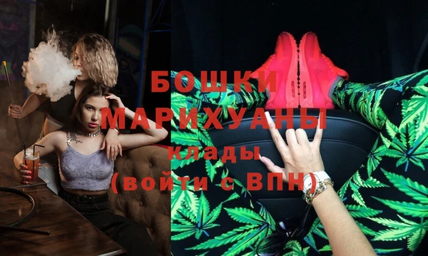 spice Бородино
