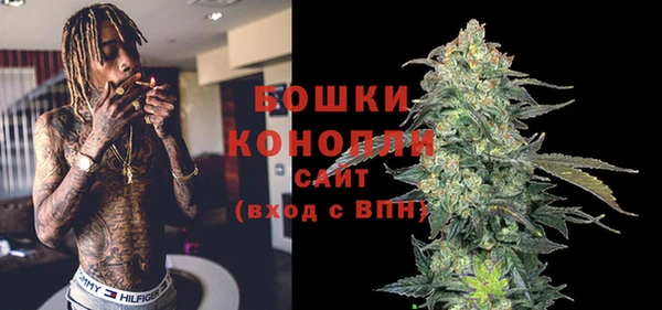 дурь Бронницы