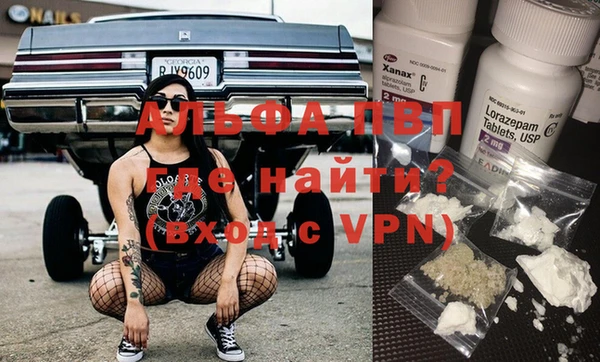 spice Бородино