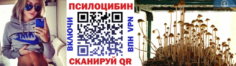 Псилоцибиновые грибы Magic Shrooms  Мещовск 